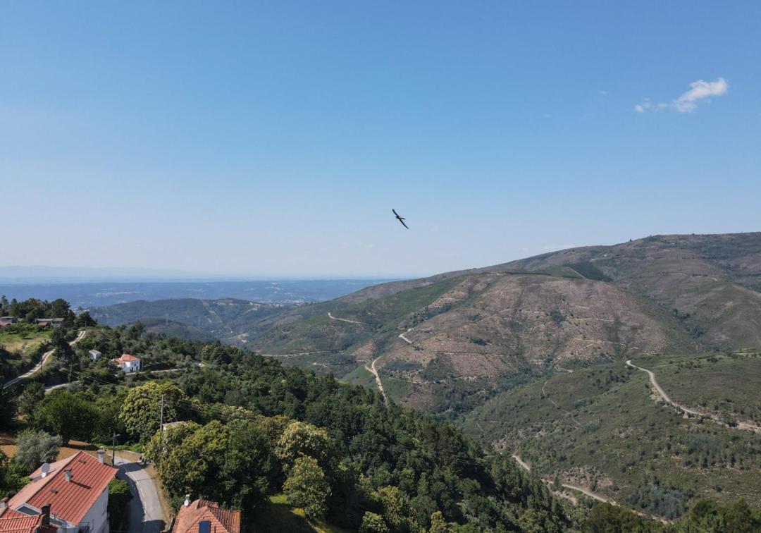 Vila Casa Da Avo Emilia Arganil Exteriér fotografie